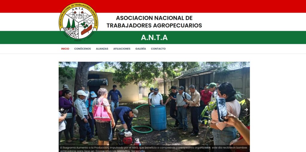 Sitio web de ANTA El Salvador