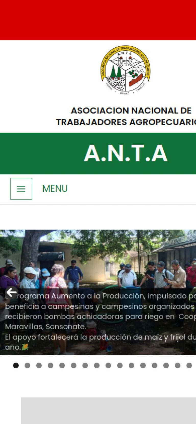 Vista móvil de ANTA El Salvador