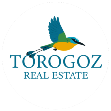 Logo de Torogoz Real Estate